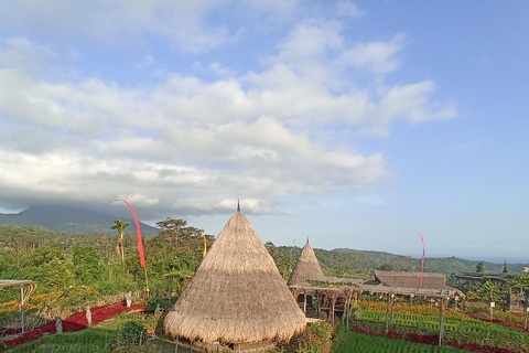 ubud trip monkey forest sanctuary