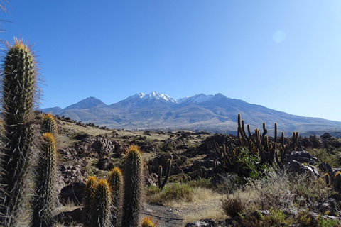 Arequipa: Tour in bicicletta del Parco Las Rocas e della Valle del Chilina