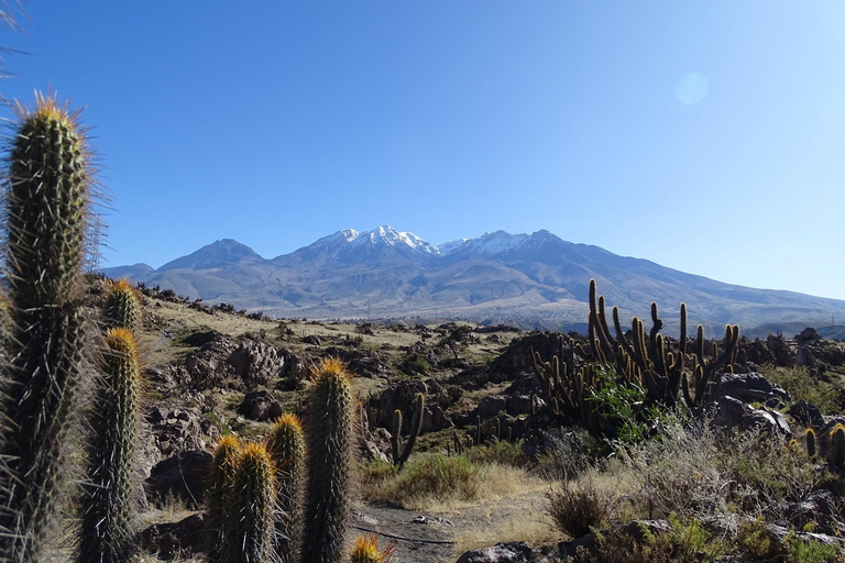 Arequipa: Las Rocas Park en Chilina Vallei Fietstocht