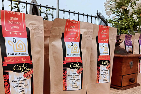 Finca Los Castaños: koffietour en proeverij in de Agaete-vallei
