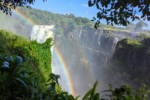 Victoria Falls: Family-Friendly Guided Walking Tour