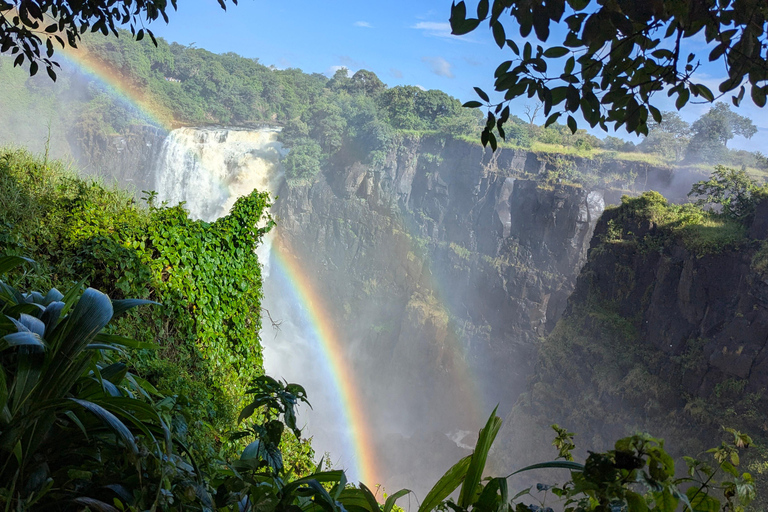 Victoria Falls: Family-Friendly Guided Walking Tour