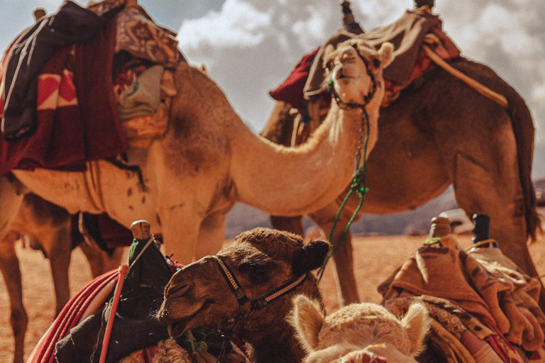 Najlepsze miejsca wokół Wadi Rum podczas 2-godzinnej wycieczki jeepemZ Wadi Rum: 2-godzinna wycieczka jeepem z lokalnym przewodnikiem