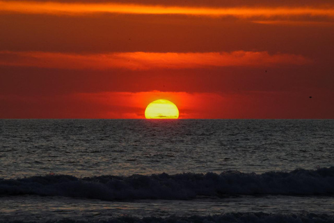From San Salvador: Costa del Sol Beach Day Trip