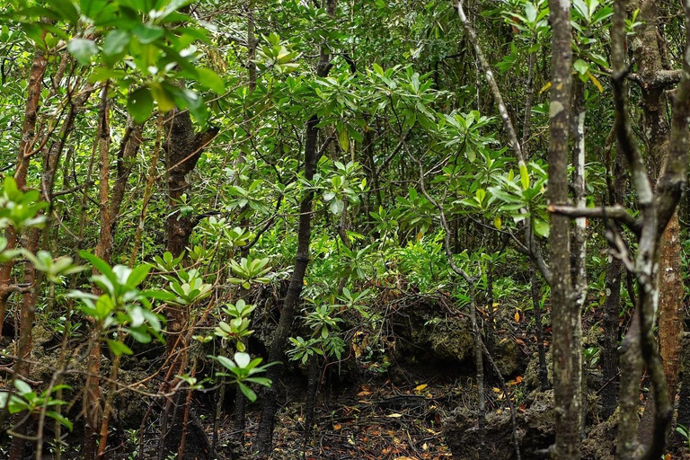 Zanzibar: Jozani Forest, Salaam & Maalum Caves and Sunset