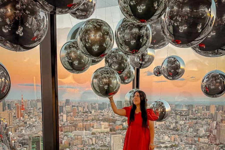 Tokyo City Highlight Private Tour Full Adjustable Itinerary