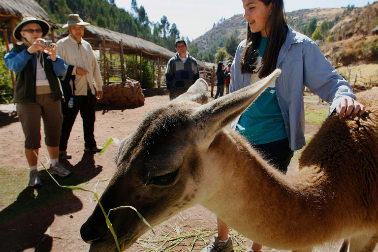 Transporte and pick-up from Awana Cancha|1 hour waiting time