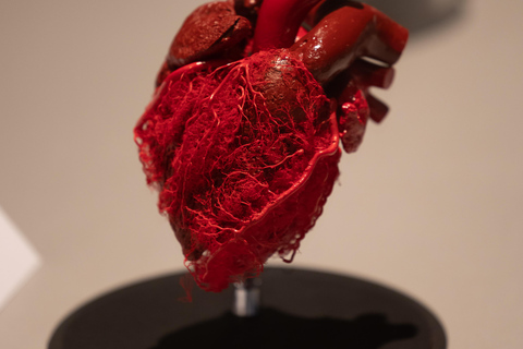 Hanau: Your ticket to the BODY WORLDS exhibition Hanau: Ticket for the BODY WORLDS Exhibition