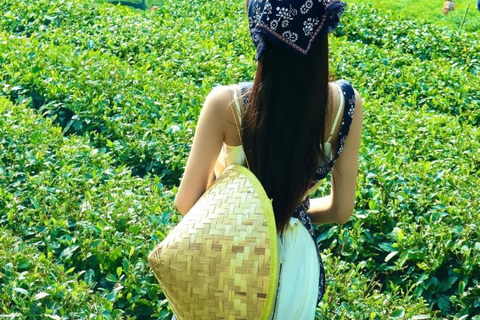 Hangzhou: West Lake Boat Ride, Leifeng Pagoda & Tea Tour
