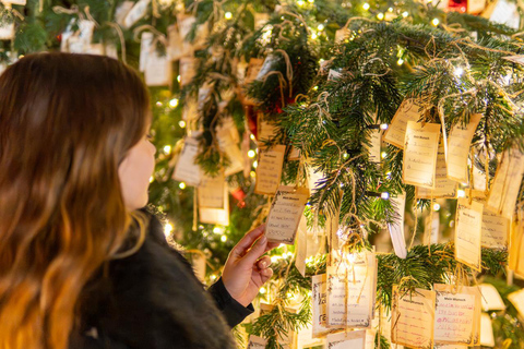 Lucerne and Christmas Market Tour with Pro Photographer