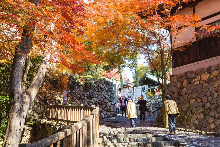 1/2 Day Tour from Nagoya: Inuyama Castle & Tea (small group) English Tour