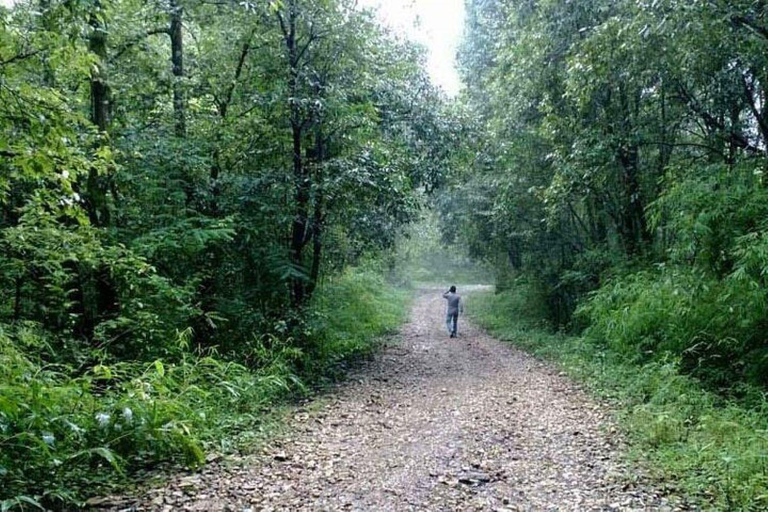 Kathmandu: Day Hiking Around Kathmandu Valley