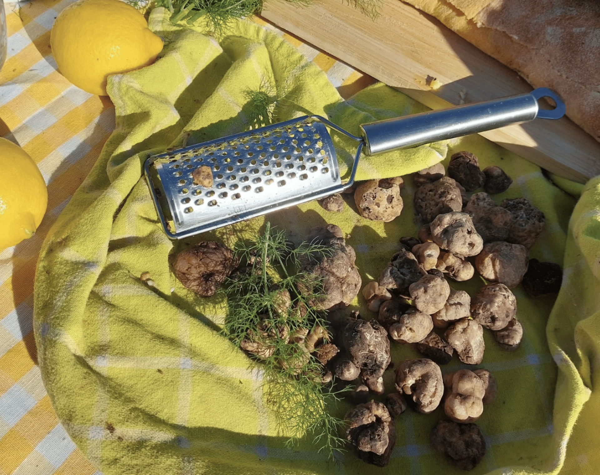 Testa Dell'acqua: Trüffeljagd, leichtes Mittagessen & Bitterverkostung
