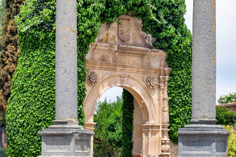 Zamora: Private Guided Tour