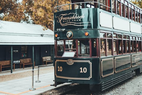 Cape Town: Cape Winelands Tour with Wine Tastings