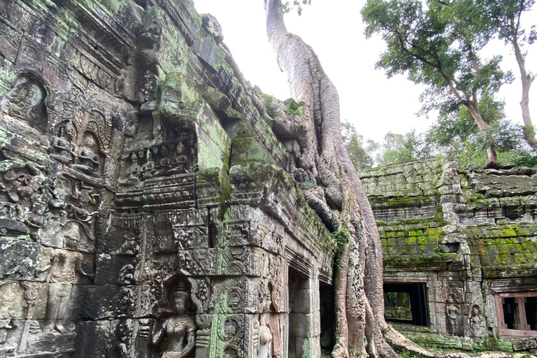Phnom Penh–Siem Reap Angkor: 5 Day Private Tour in Cambodia Start from Phnom Penh to Siem Reap