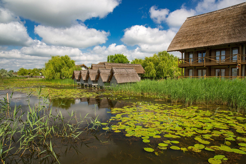 Desde Bucarest: Excursión de un día al Delta del Danubio