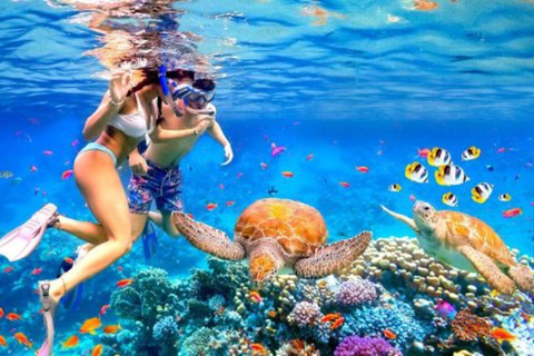 Gili Trawangan 3-Island Snorkeling and Cycling Adventure Gili Trawangan 3-Island Snorkeling and E Bike Adventure