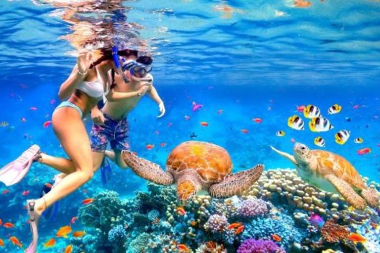 Gili Trawangan 3-Island Snorkeling and Cycling Adventure Gili Trawangan 3-Island Snorkeling and E Bike Adventure