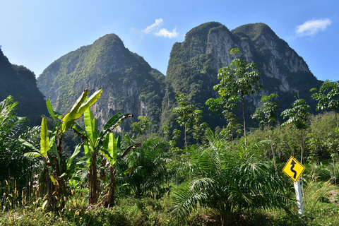 Krabi: ATV Jungle Bash & Kayak Odyssey in Din Daeng Mangrove