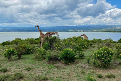 Nairobi: Crescent Island Sanctuary Day Trip with Lunch Nairobi: Crescent Island Sanctuary private day Trip