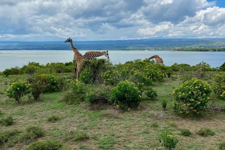 Nairobi: Crescent Island Sanctuary Day Trip with Lunch Nairobi: Crescent Island Sanctuary private day Trip
