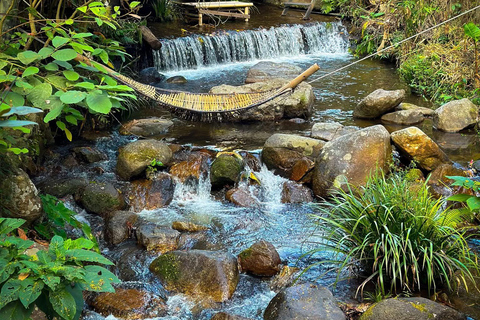 Chiang Mai: excursión de un día al Giant Café y al pueblo de Mae KampongChiang Mai: Excursión de un día al Café Gigante y al pueblo de Mae Kampong