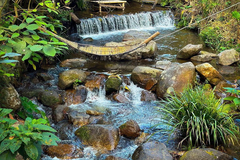 Chiang Mai: excursión de un día al Giant Café y al pueblo de Mae KampongChiang Mai: Excursión de un día al Café Gigante y al pueblo de Mae Kampong