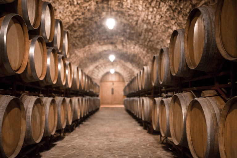 Estrasburgo: Tour do vinho de bicicleta com um morador local