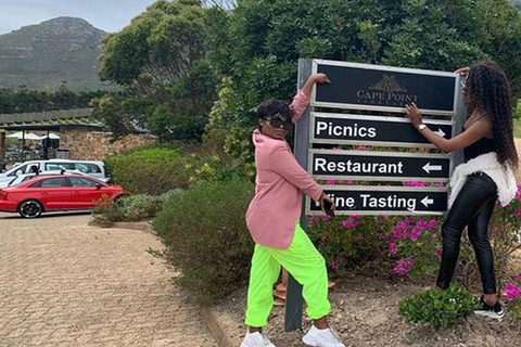 Cheetah Outreach and Award-Winning Winelands Full Day Tour