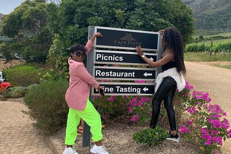 Cheetah Outreach and Award-Winning Winelands Full Day Tour