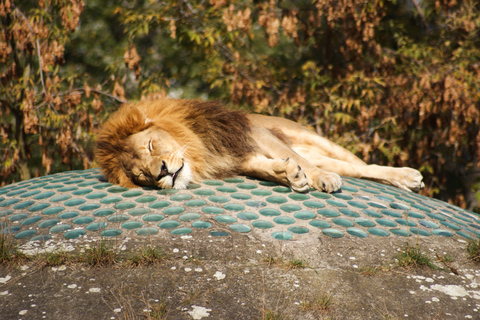 Warschau Dierentuin Park met Eigen Vervoer5 uur in de dierentuin met privé vervoer