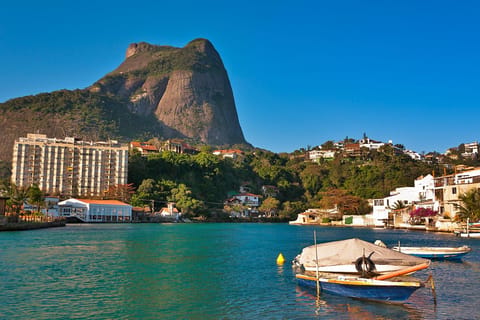 Rio de Janeiro: Tijuca Lagoon Boat Tour with Wildlife