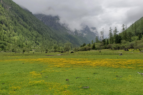 Chengdu: 6-Day Mt. Siguniang Dafeng Erfeng Climbing Tour