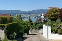 Zürich: Waldspaziergang an der Gold Coast & Dorf-Tour in Erlenbach