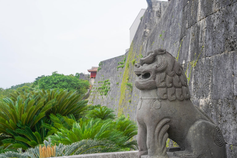 Naha: Okinawa Shuri Castle Peace Walking Tour