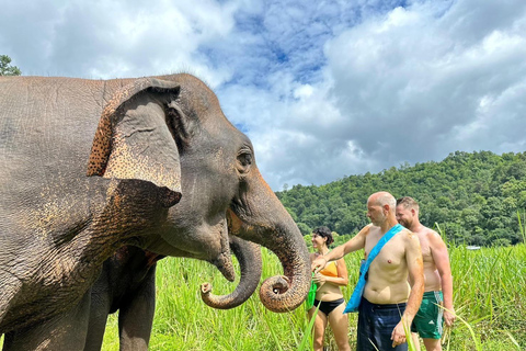 Chiang Mai: Santuario de Elefantes, Cascada y Excursión en RaftingServicio de recogida del hotel