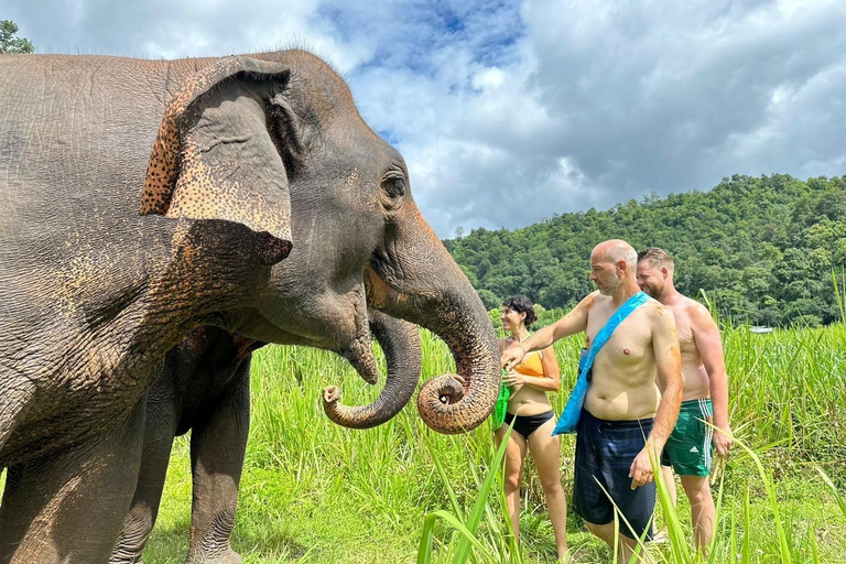 Chiang Mai: Elephant Sanctuary, Waterfall and Rafting Tour Hotel Pickup