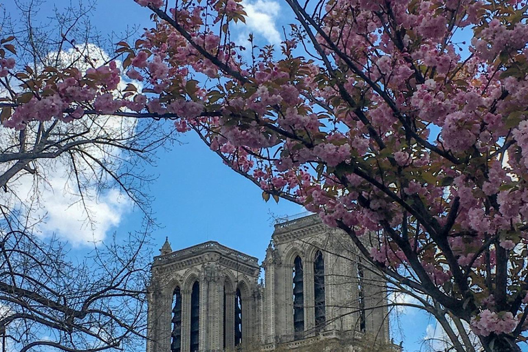 باريس: جولة سيرًا على الأقدام في نوتردام وإيل دو لا سيتيه