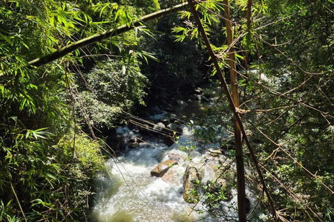 Mariposario Sierra Nevada Entry Ticket