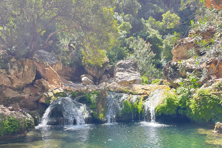 From Chefchaouen: Full-Day Trip to Akchour Waterfalls Small group tour