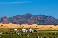 Semi Gobi overnight with nomad+Kharkhorum city tour - Housity