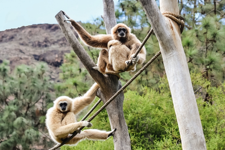 Gran Canaria: Admission Tickets for Palmitos Park