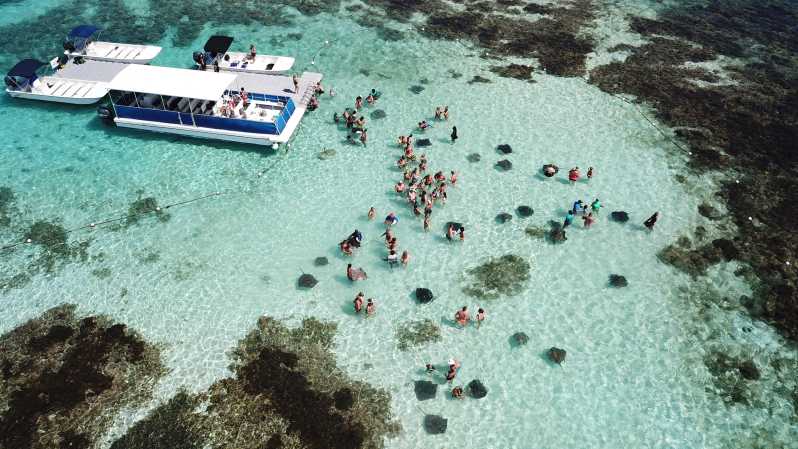 Snorkelaktivitet i Stingray City Antigua - Transfer INC.