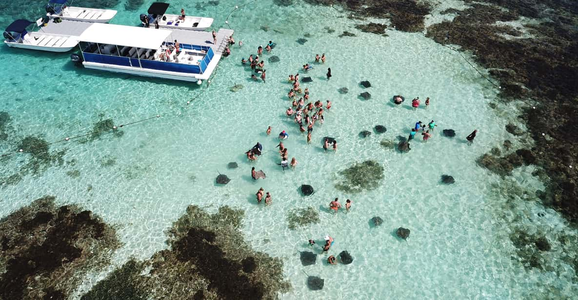 6-Hours Guided Stingray Tour in the East Coast of Antigua | GetYourGuide