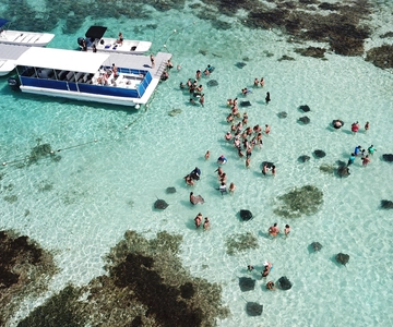 Antigua: Stingray City Experience with Round-Trip Transfer