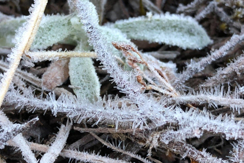 Parco nazionale di Doi Inthanon e sentiero naturalistico di Kew Mae Pan