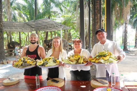 Krabi: Programa de Alimentación de Elefantes con Preparación de la Comida