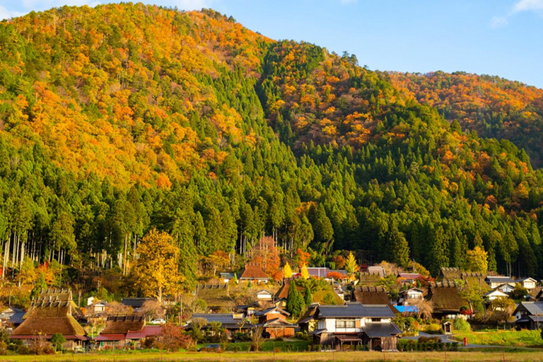 De Osaka: Ine Bay, Amanohashidate, Miyama Village Tour de 1 dia