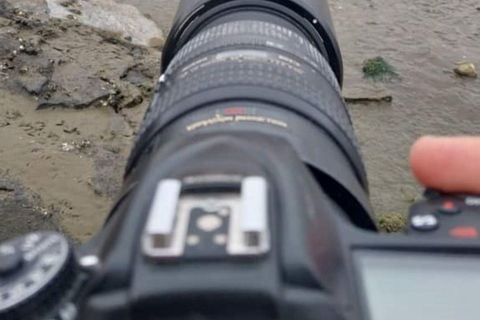 Walvis Bay : Observation des oiseaux et photographie